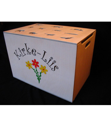 Mänguasjakast lapse nimega