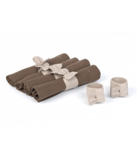 Salvrätiku hoidja beež