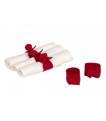 Salvrätiku hoidja punane